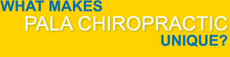 What makes Pala Chiropractic unique?